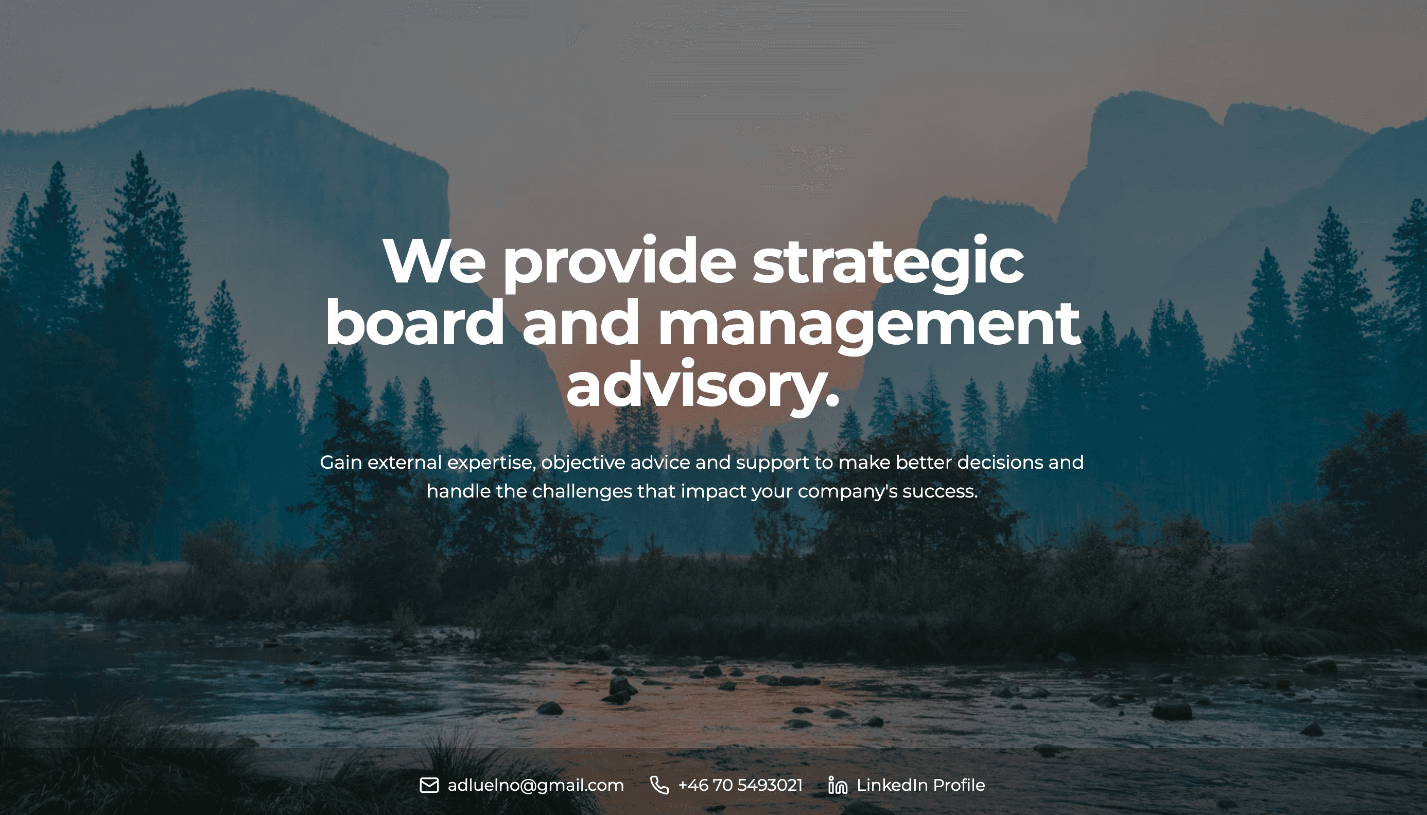 Adluelno project screenshot